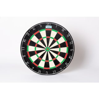 Sisal Bristle Dartboard with doming and logo flights